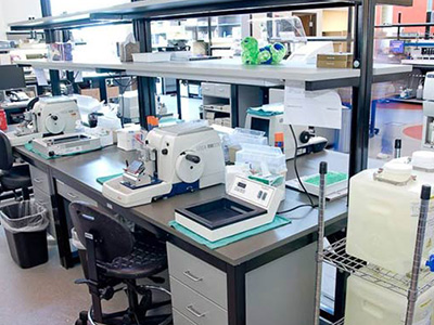 實(shí)驗(yàn)臺(tái)廠家介紹現(xiàn)代化實(shí)驗(yàn)室發(fā)展趨勢(shì)是什么